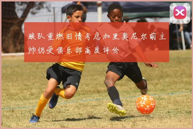 狼队重燃旧情考虑加里奥尼尔前主帅仍受俱乐部高度评价